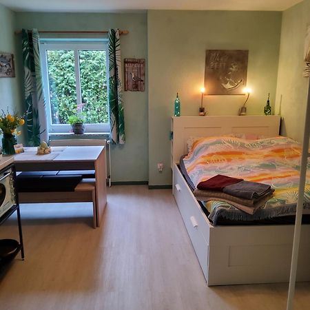 Studio-Apartment Mit Kleinem Gartenanteil 버그아프페마른 외부 사진