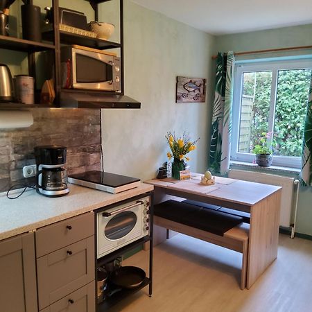 Studio-Apartment Mit Kleinem Gartenanteil 버그아프페마른 외부 사진